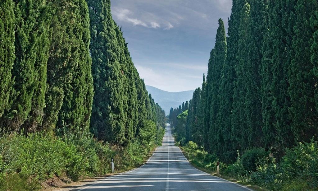 Agriturismo Ss Annunziata San Vincenzo Exteriér fotografie