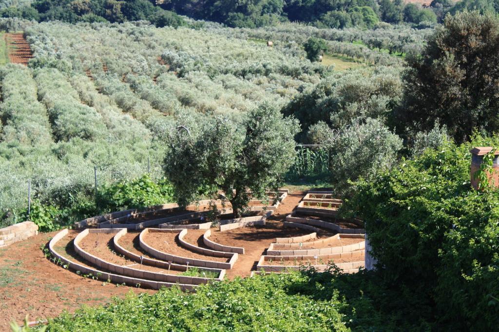Agriturismo Ss Annunziata San Vincenzo Exteriér fotografie