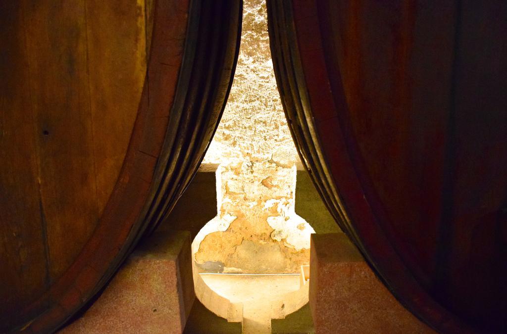 Agriturismo Ss Annunziata San Vincenzo Exteriér fotografie
