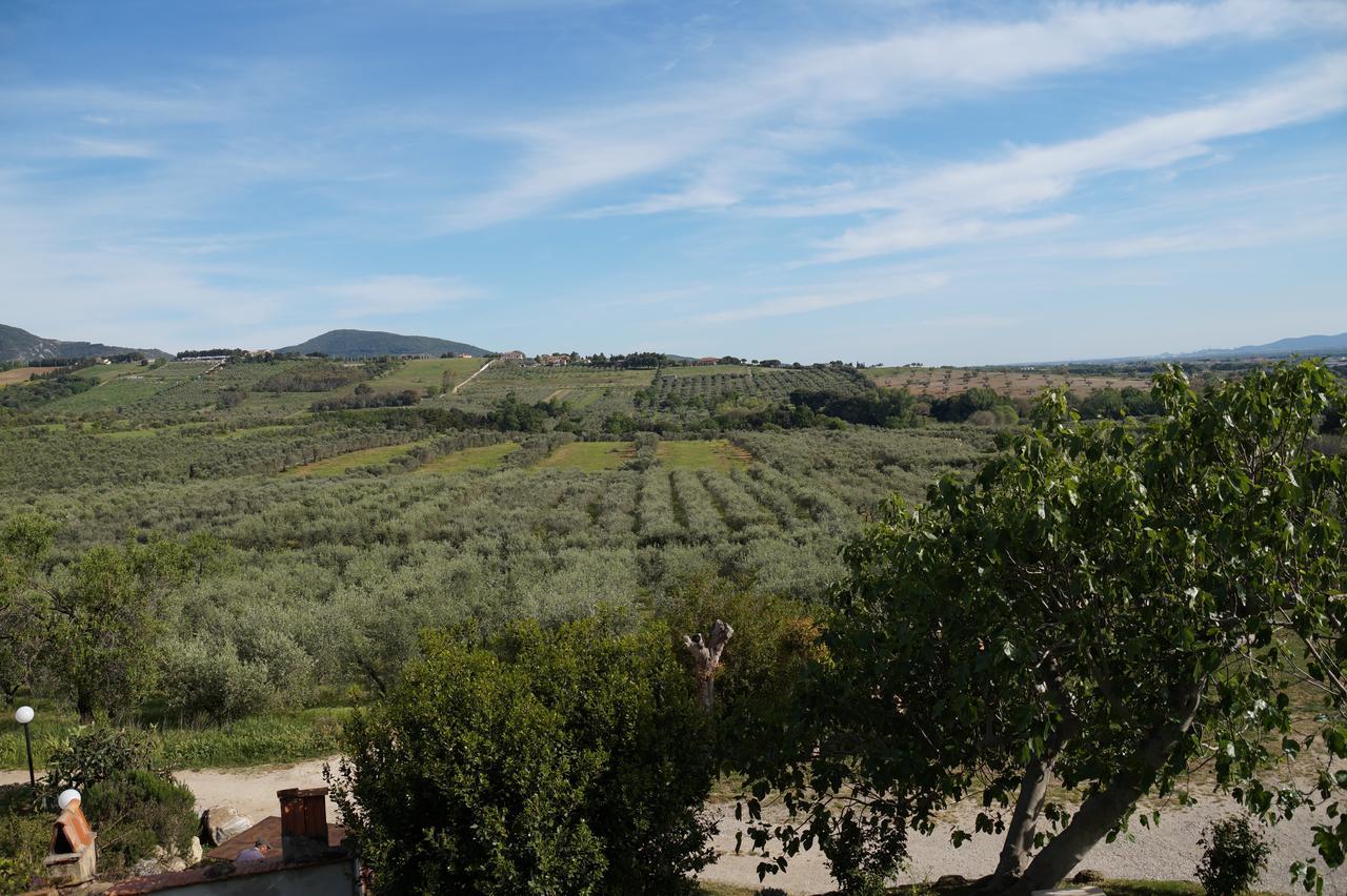 Agriturismo Ss Annunziata San Vincenzo Exteriér fotografie