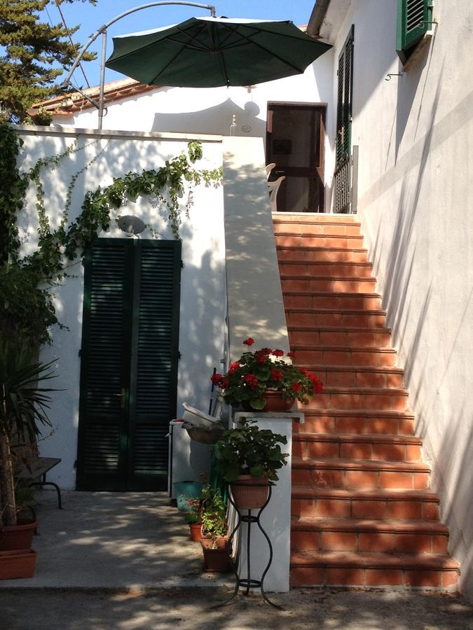 Agriturismo Ss Annunziata San Vincenzo Exteriér fotografie
